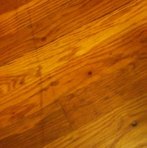 Meet your Posher, David - Picture 1 of 1